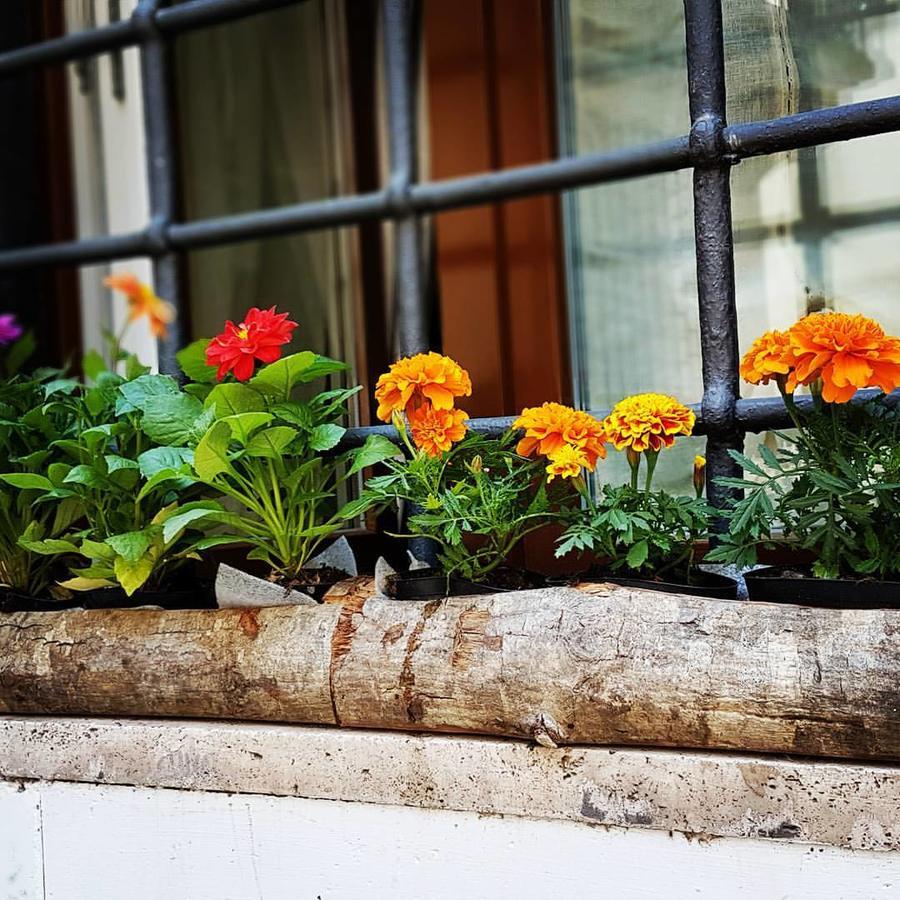 Navona Sweet Home Rome Bagian luar foto
